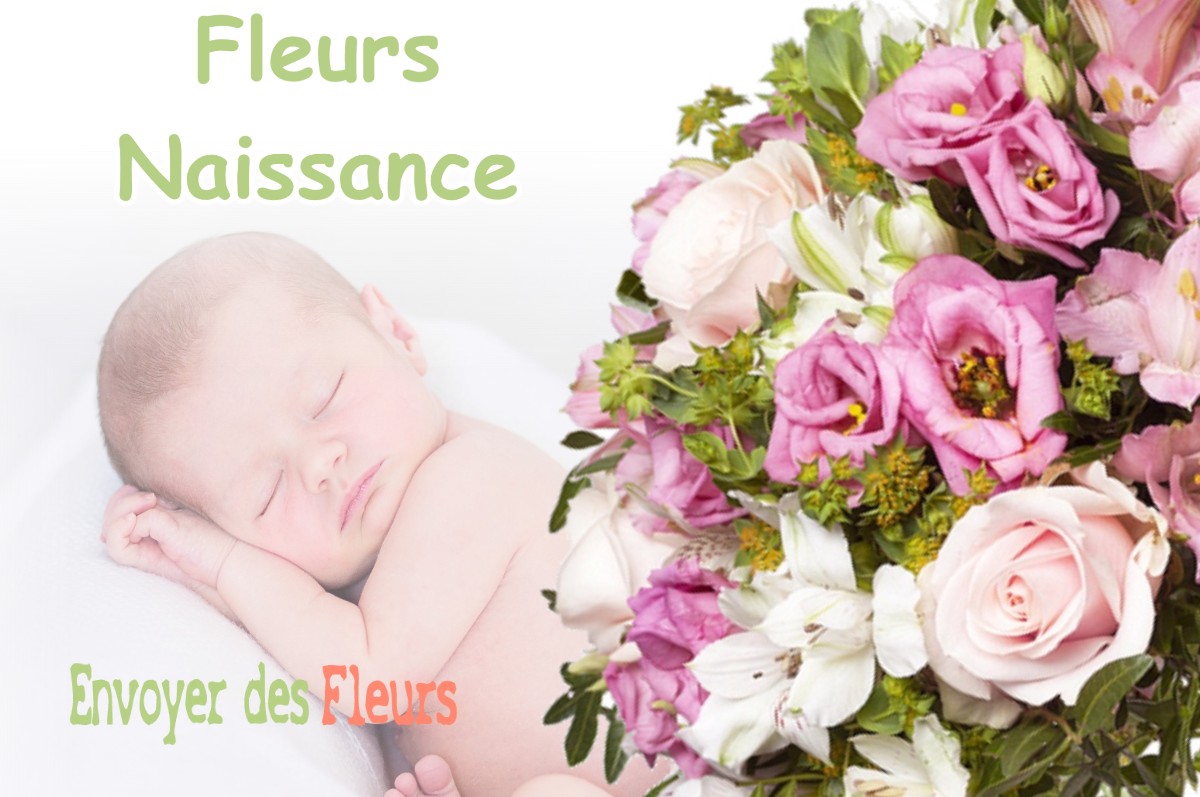 lIVRAISON FLEURS NAISSANCE à SEREZIN-DE-LA-TOUR