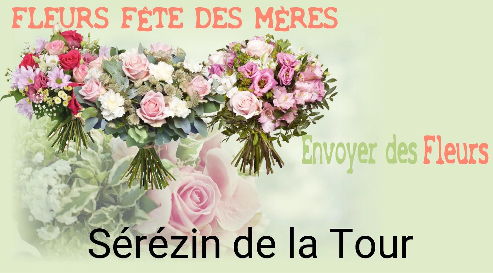 Bouquet de Fête des Mères livré à Sérézin-de-la-Tour